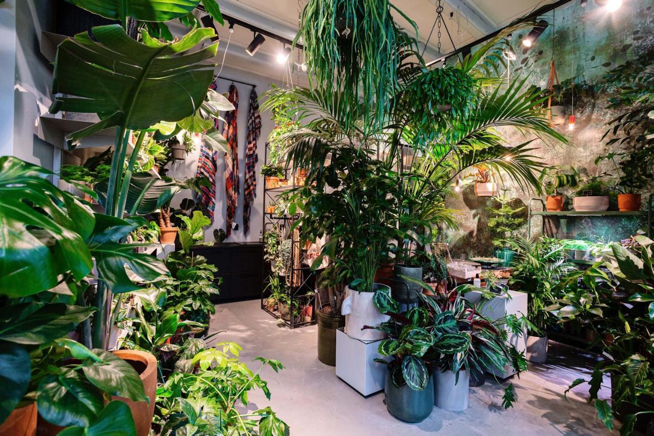Daen'S Greenhouse Utrecht Exterior foto